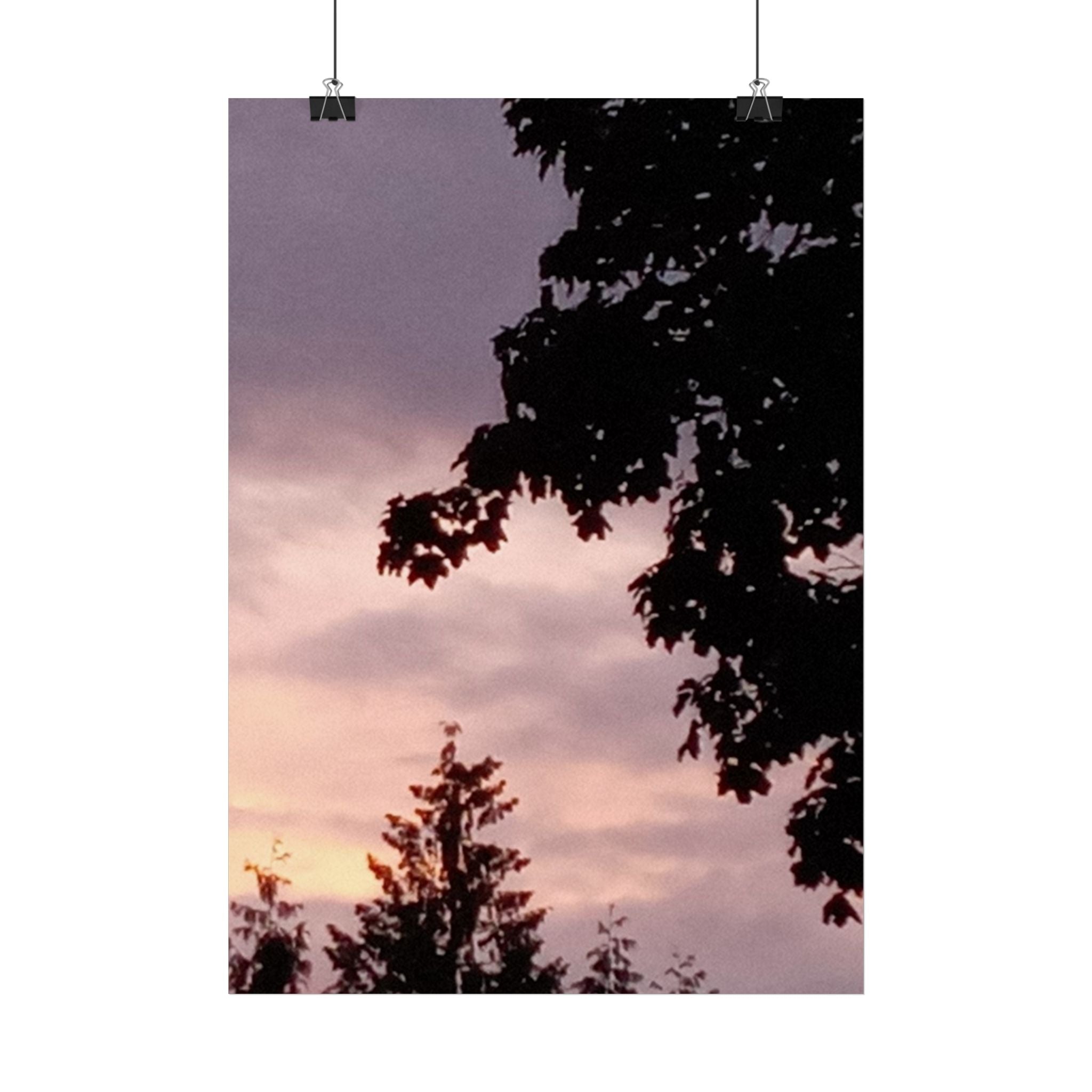 Sunset Tree Silhouette Poster