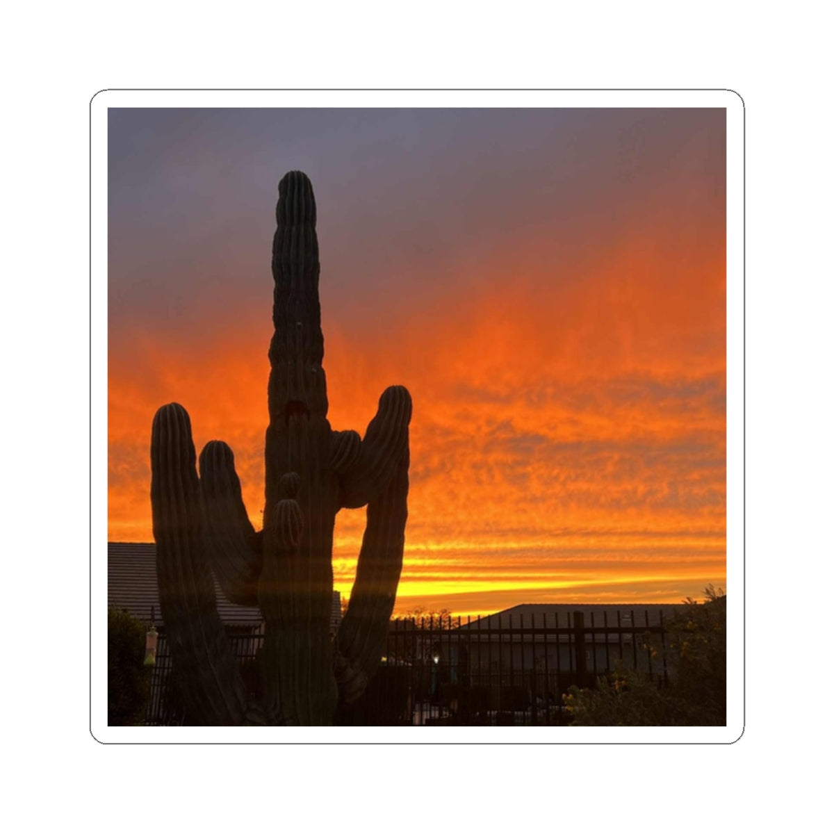 Cactus Sunset Sticker