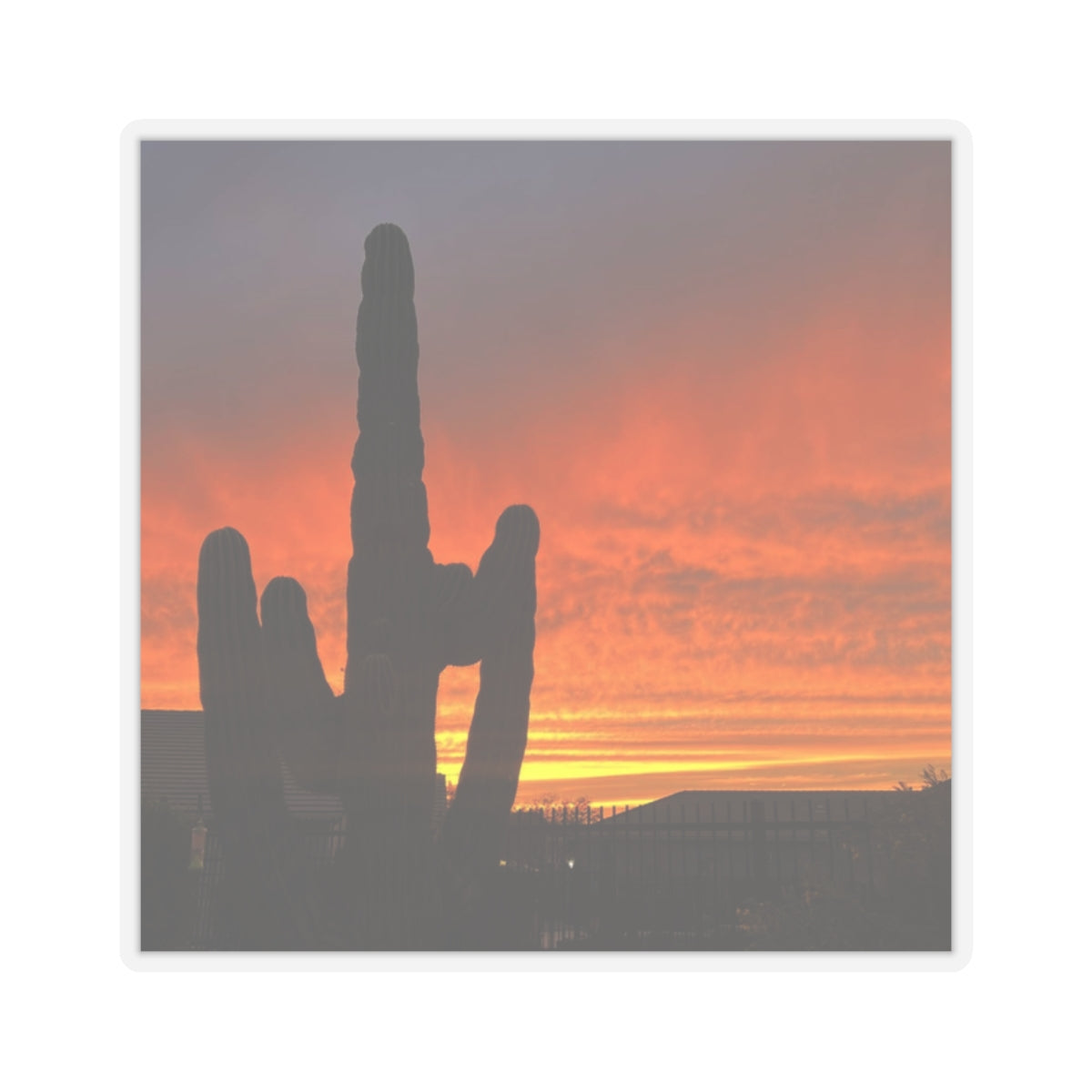 Cactus Sunset Sticker